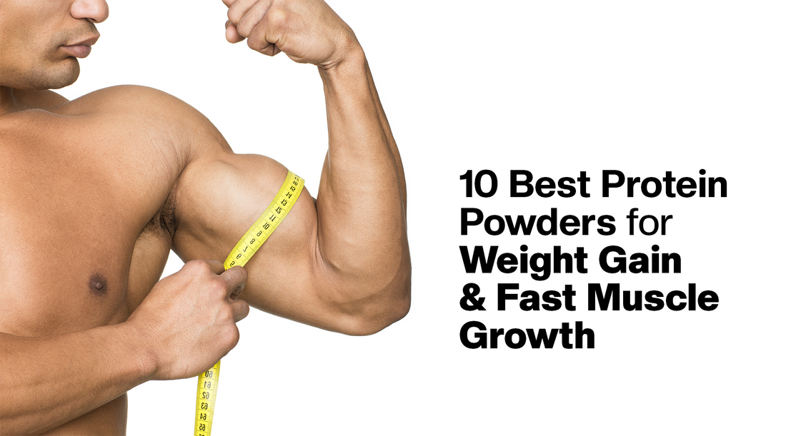 Best Protein Powders