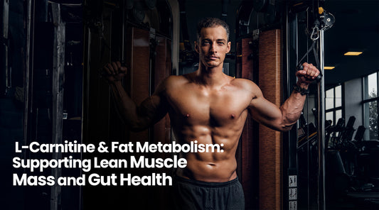 L carnitine for fat Loss