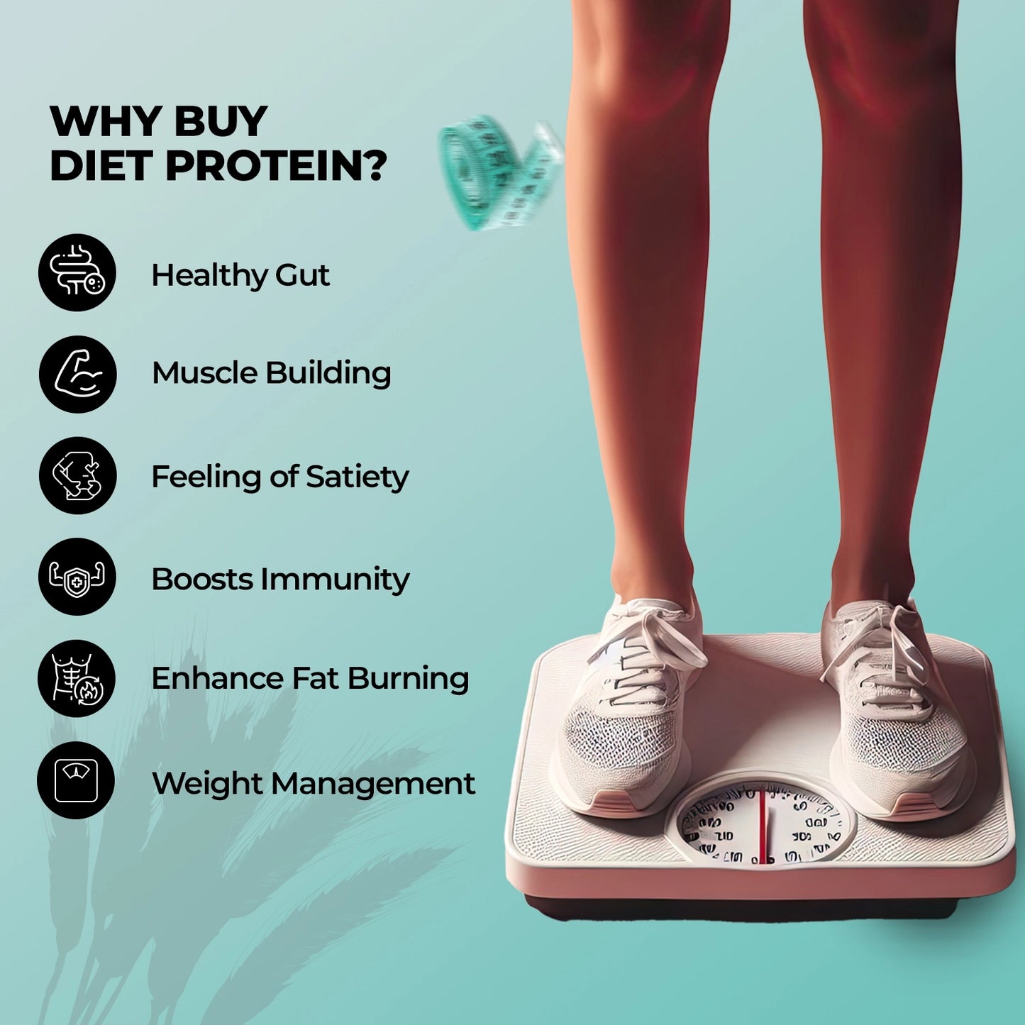 Diet Clear Protein, Juicy Blueberry (Pack of 15 Sachets)