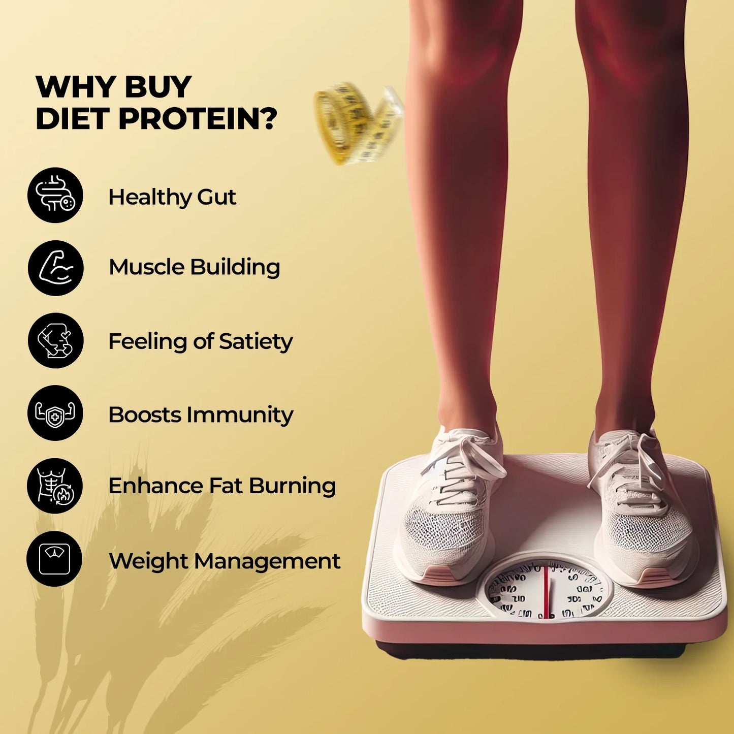 Diet Clear Protein, Assorted - Pack of 15 (Each Flavour 5 Units)